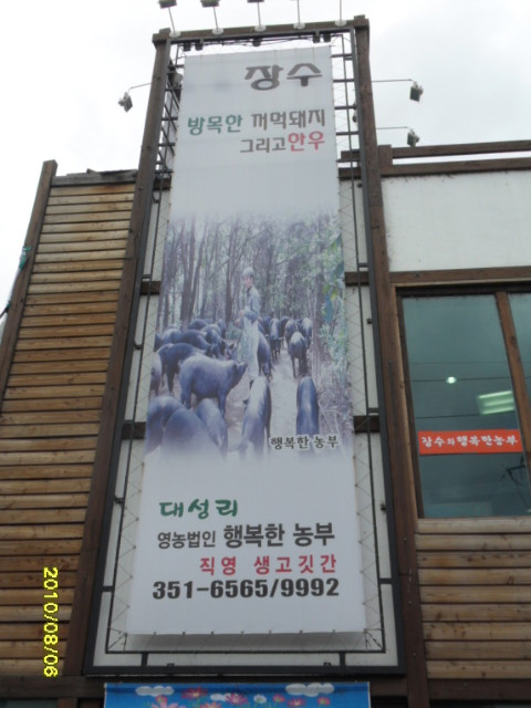 장수꺼먹돼지 이미지