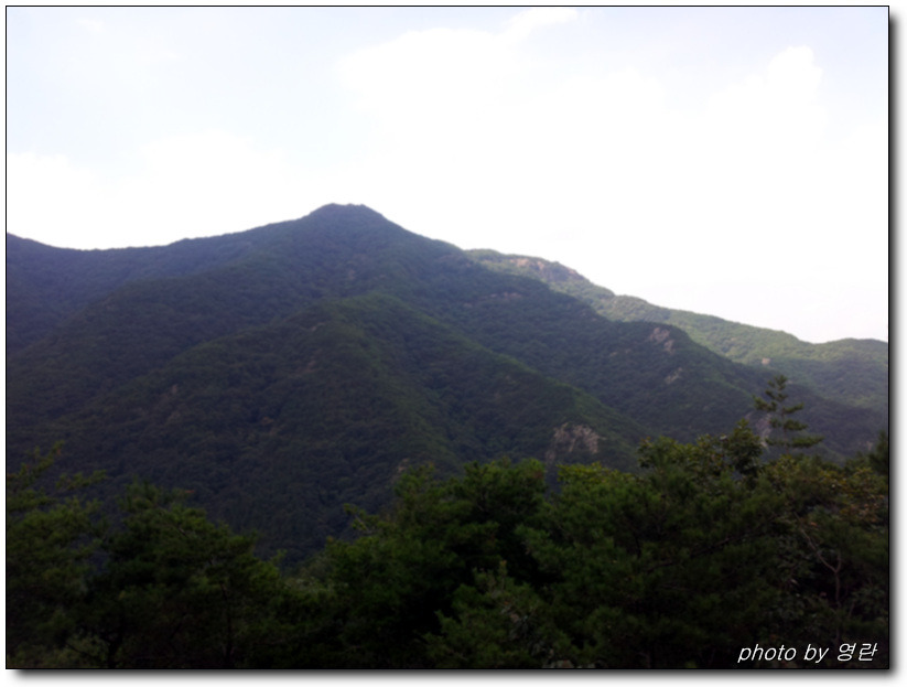 고산자연휴양림 이미지