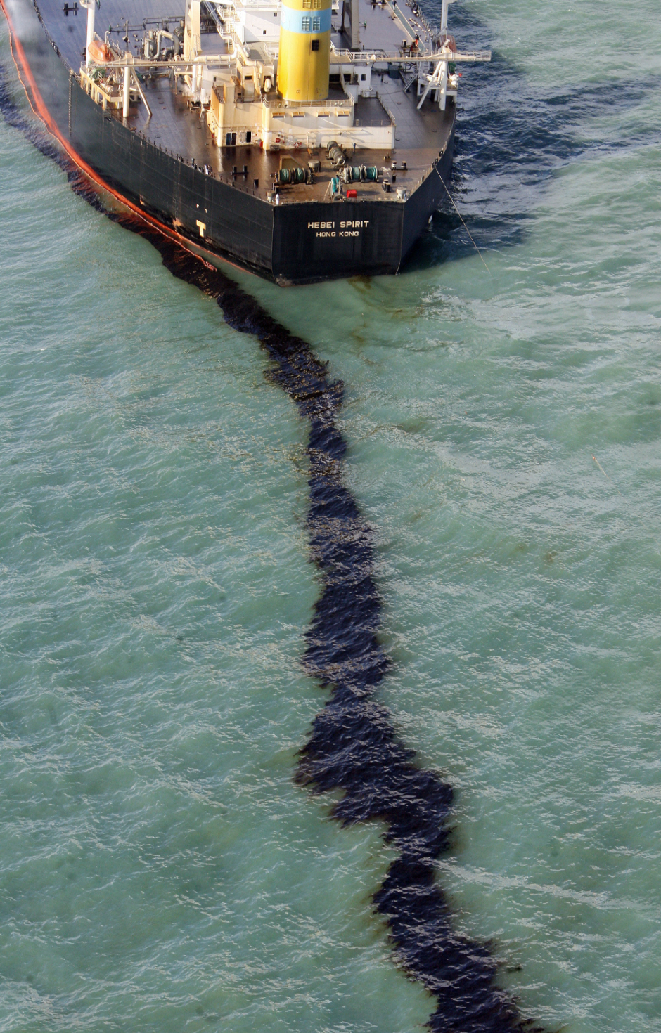 원주부론소나무 태안 기름유출사고 1년 후... Daum 카페