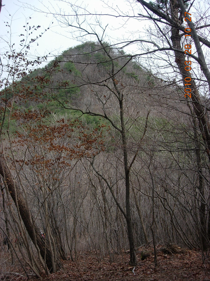 고찰과 송림(松林)의 운치에 빠져든 연화산, 남산 산행 1 - 등산 갤러리