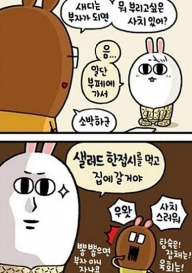 사치 이미지