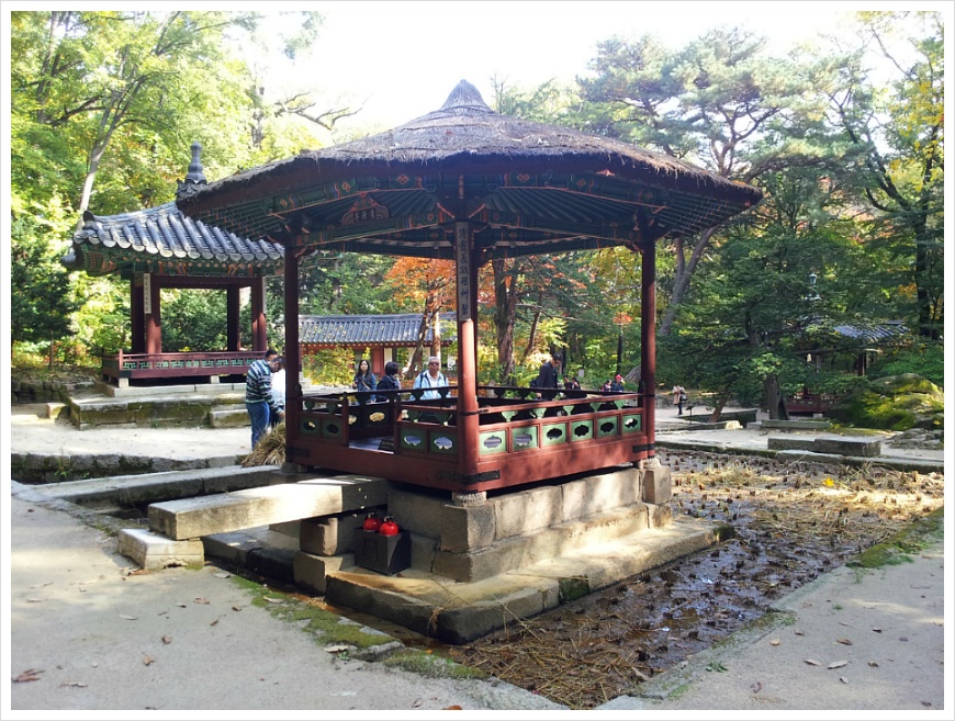 [서울여행 가볼만한 곳] 서울 살이 30년 만에 처음 갔던 창덕궁 후원. 비원의 가을 풍경