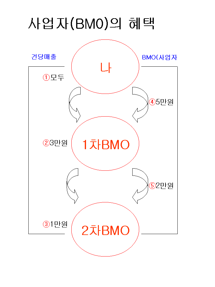 모디아 이미지
