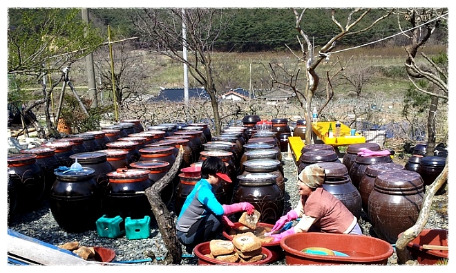방정현의 고향 장마을, 길일에 장 담그기..