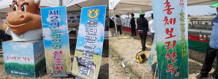 청보리들녘 이미지