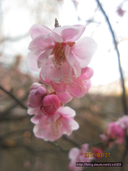 수다방 이미지