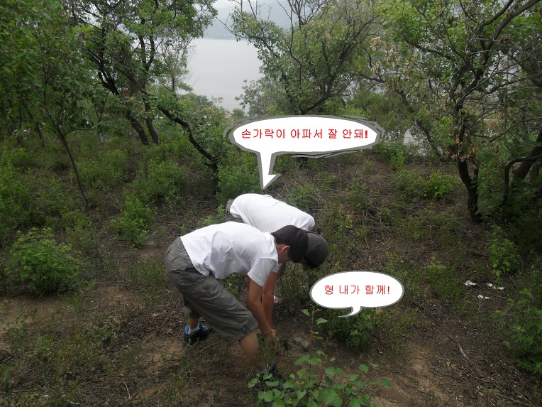 천사된 거북이에게 명당 찾아주기