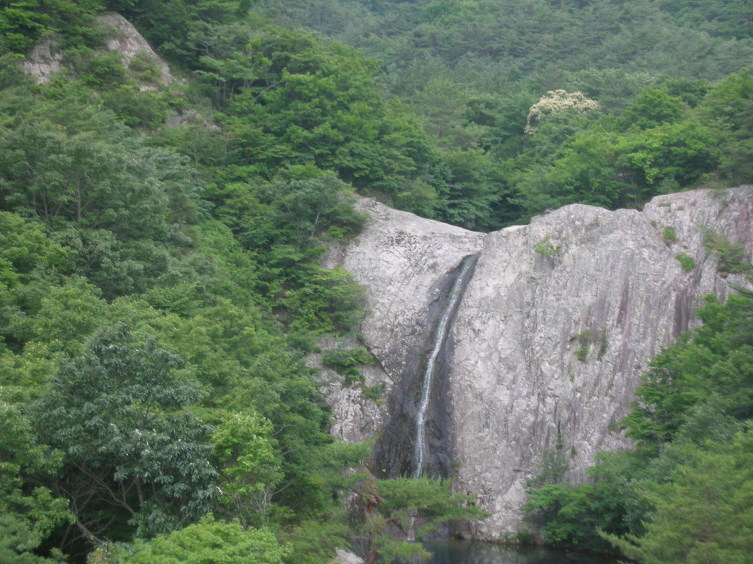 솔정 이미지