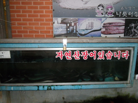 영산강장어 이미지