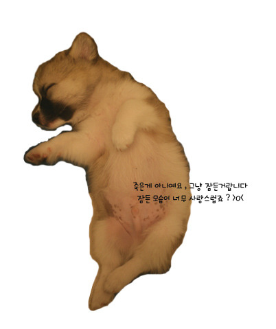 언니쿠키 이미지