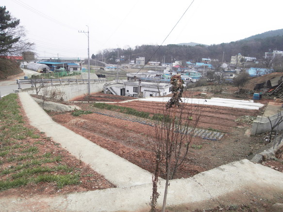 대설의 텃밭