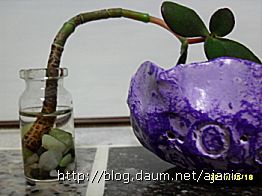 뽑기이야기 이미지