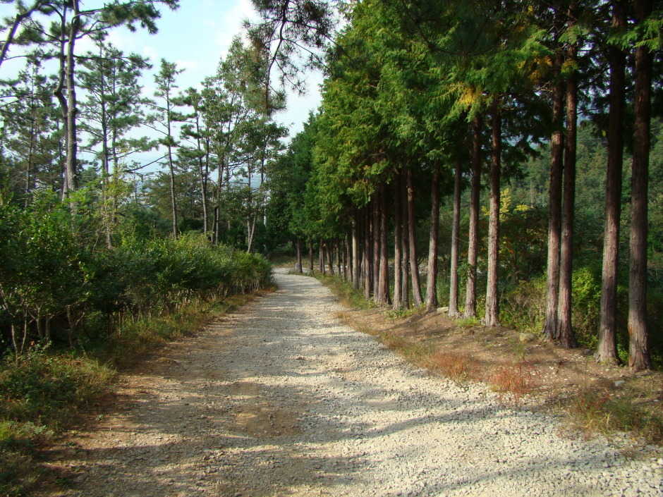 녹차향 그윽한 만화방초