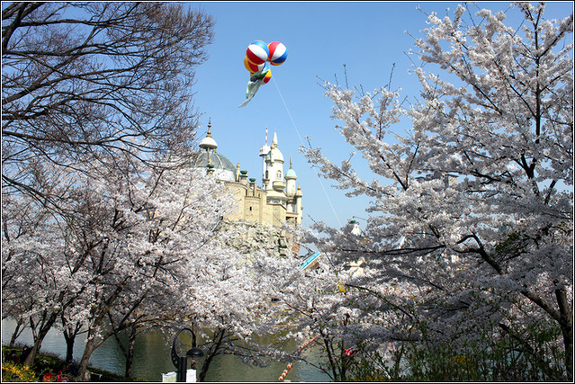 18599B3C4F8C06D638A021