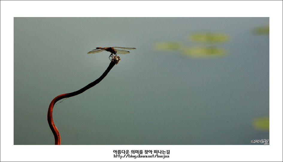 옛사랑 이미지