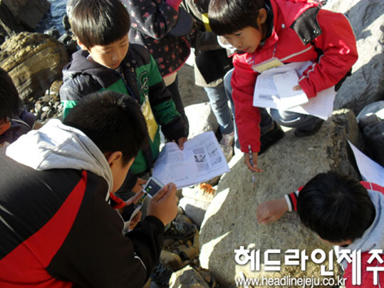 제주화석박물관 이미지