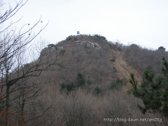 망월산 정상 이미지