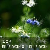꽃이름 찾기