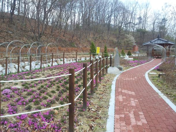 음매 이미지