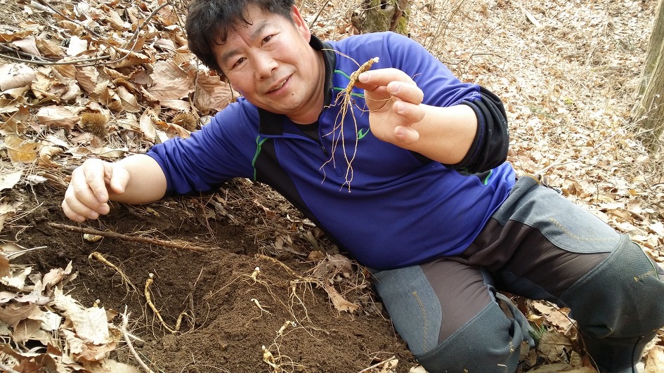 천사농장 이미지