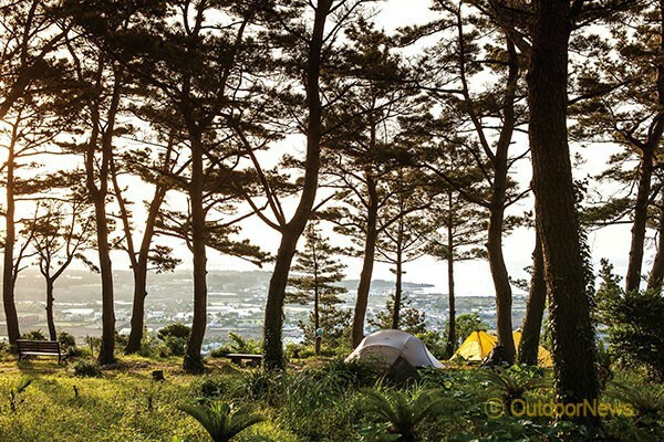 제주올레캠핑 이미지
