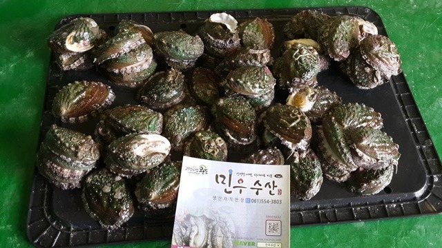 완도참전복 이미지