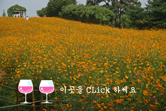 향기마루 이미지