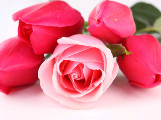 2249CC385563312520B283