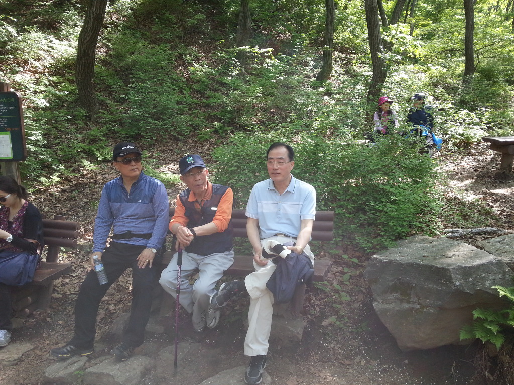 도곡동~양재천~과천대공윈산림욕장을 산책(2013년5월17일)
