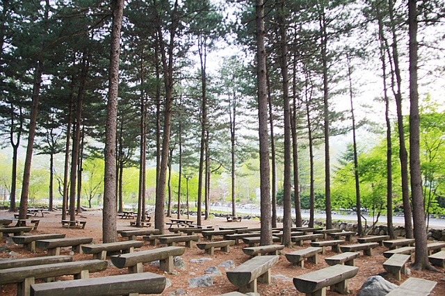 국립유명산자연휴양림 이미지