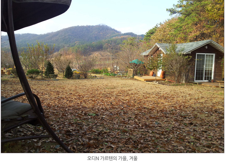 오디N오디 이미지