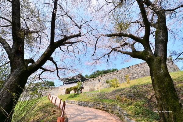 산성의봄