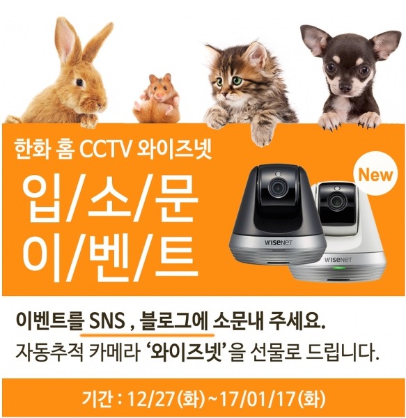 25144040587B51AE09518E