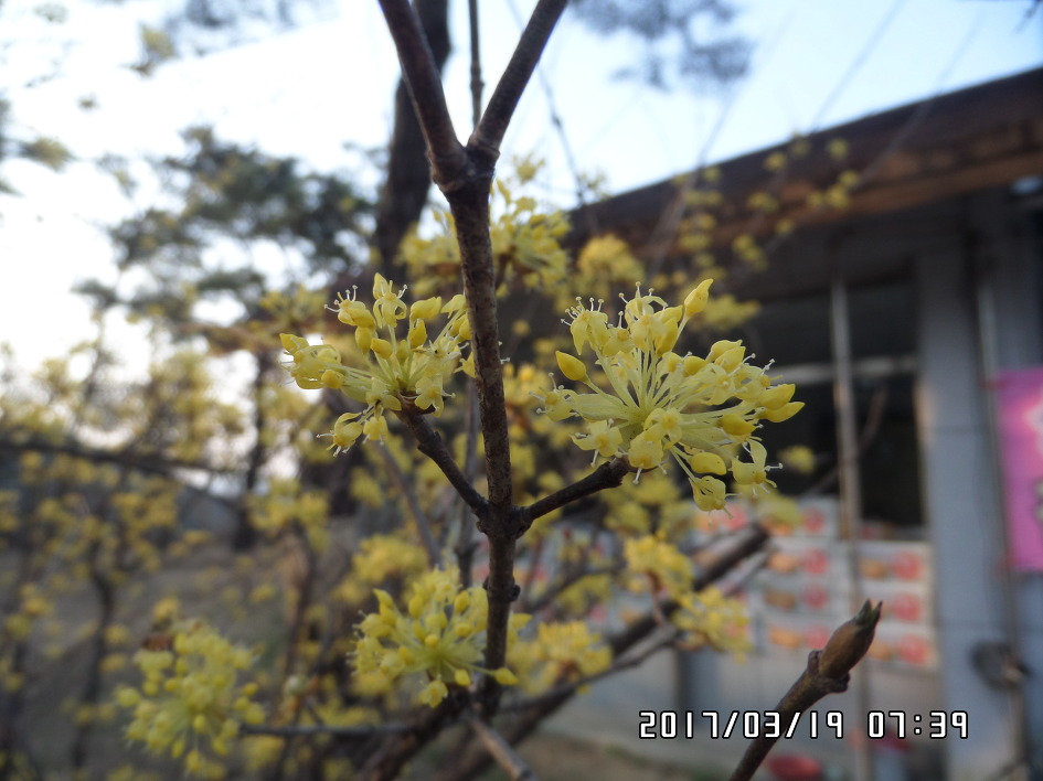 산들휴게소 이미지