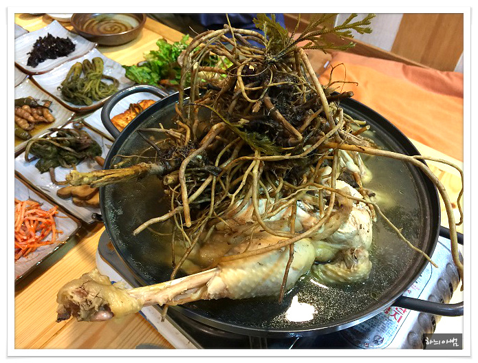 건강백숙 이미지
