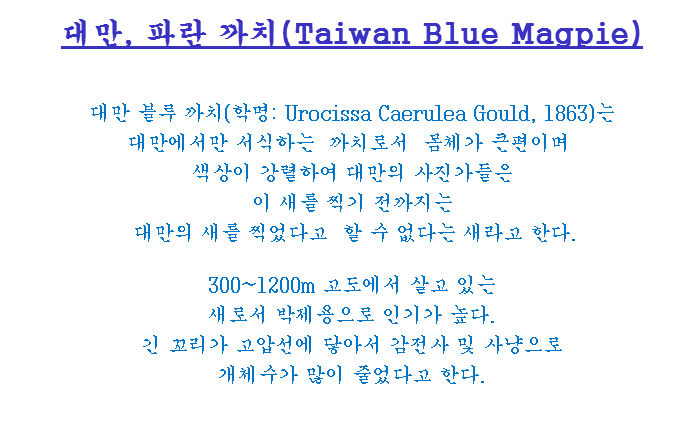 행운옥 이미지