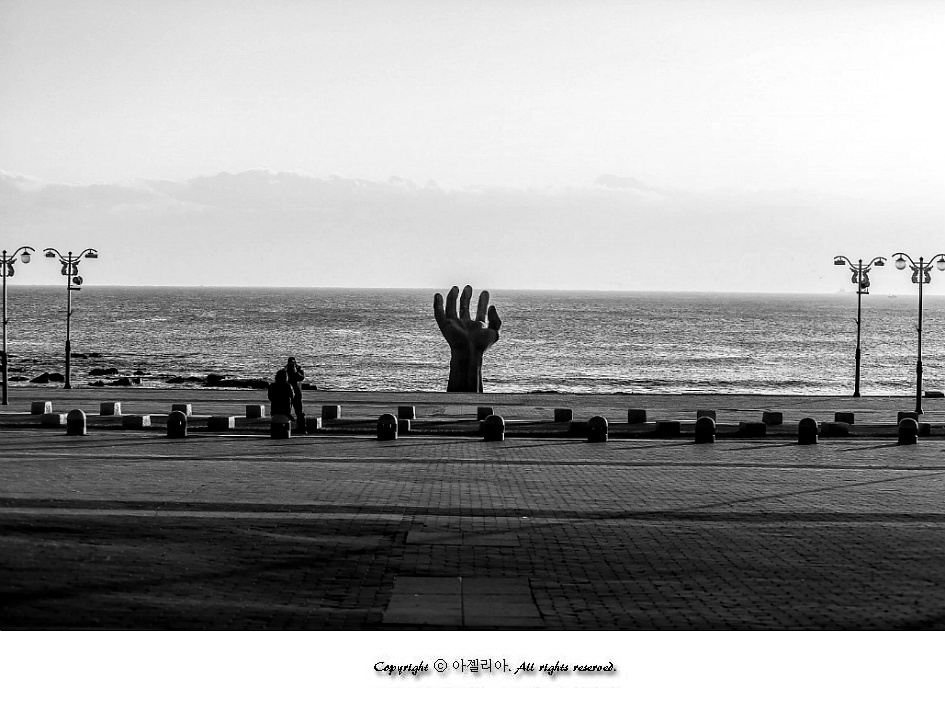 포항여행/새해 일출명소 포항 호미곶【15년12월30일】