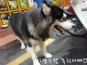 광동카페 이미지