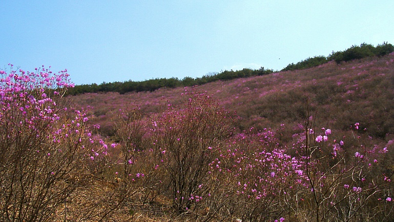 266B6541552AFA0218FDEB