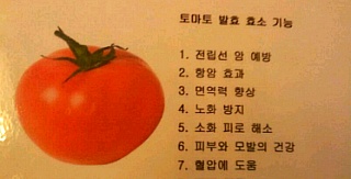 자연식품& 발효 효소 효능