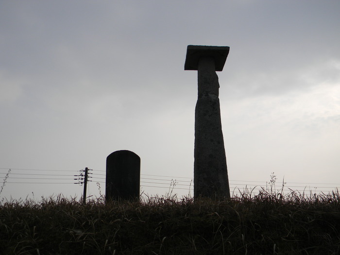 서로 애타게 바라보고 있는 익산 고도리 석불입상 (석조여래입상)