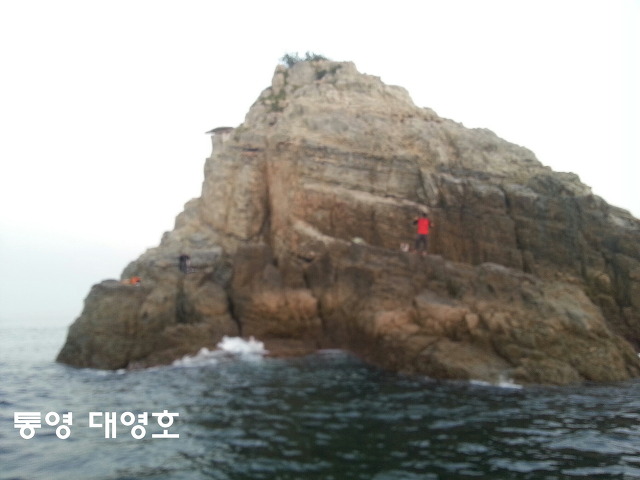 대영호]생활낚시 전갱이가 넘쳐요!!