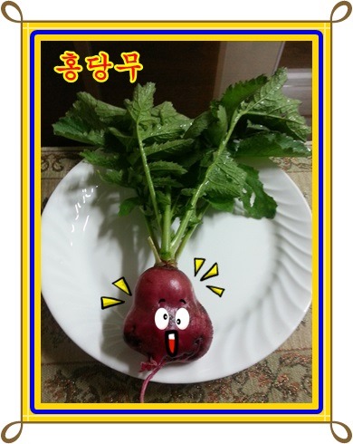 사진 홍당무