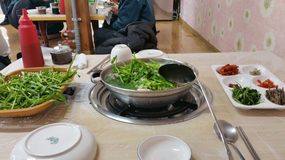 가보리 이미지