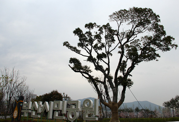 봄날오후 이미지