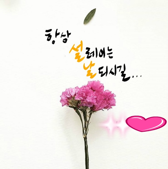 2018년 무술년 웃음과 기쁨넘치는 명절되세요!