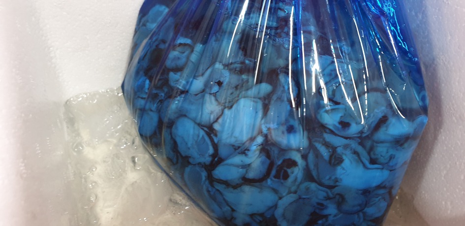 내고향 강서구 강동동의 소망의집에서 김장만들기 봉사를 하다~~