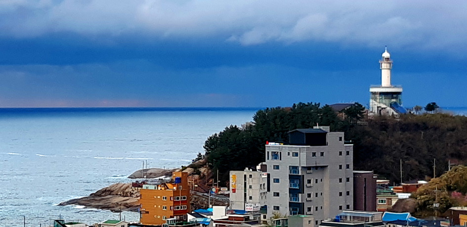 아무래도 요즘 날씨가 정신줄을 놓은 것 같습니다.