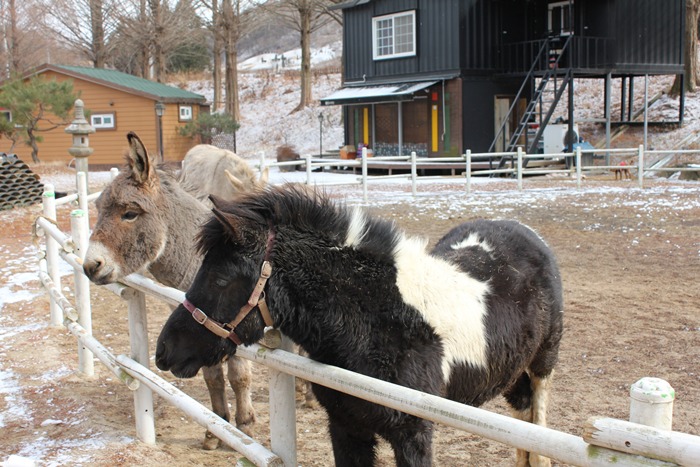 부산여행사 부산테마여행사