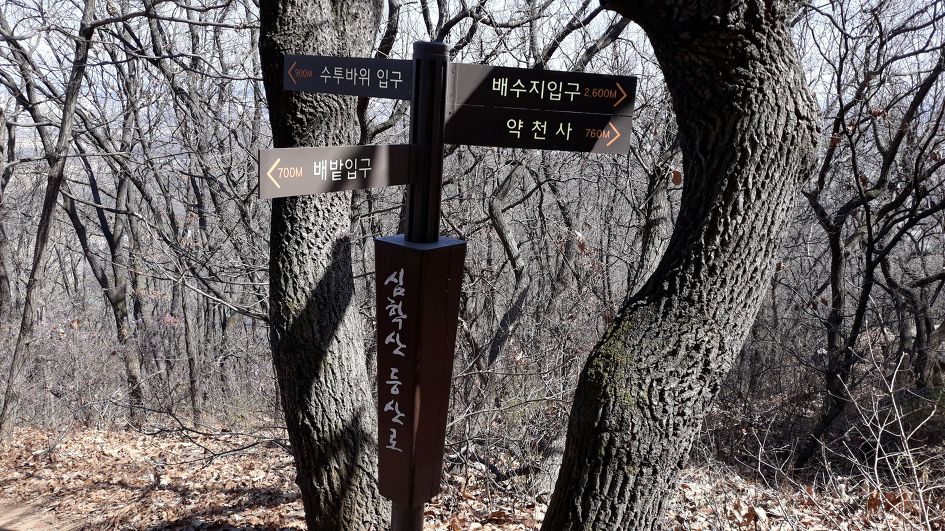 심학산, 파주